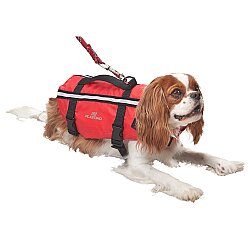 Köpek Can Yeleği - Medium - 1